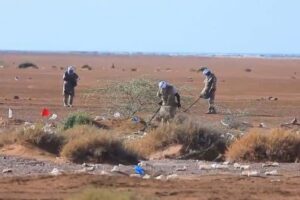 مسام: انتزاع 1846 لغماً حوثياً خلال أسبوع