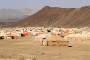 الهجرة الدولية: نزوح 238 أسرة يمنية في أقل من أسبوع