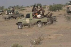 القوات المشتركة تسيطر على عدة قرى في مقبنة تعز