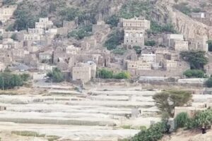 ميليشيا الحوثي تقرر مصادرة شبكات الإنترنت في عنس