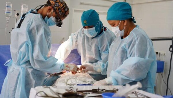 عدن.. حملة طبية لجمعية «البلسم» في اليمن لإجراء 113 جراحة قلب مفتوح وقسطرة علاجية