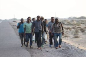 ضبط أكثر من 300 مهاجر إثيوبي غير شرعي في المهرة