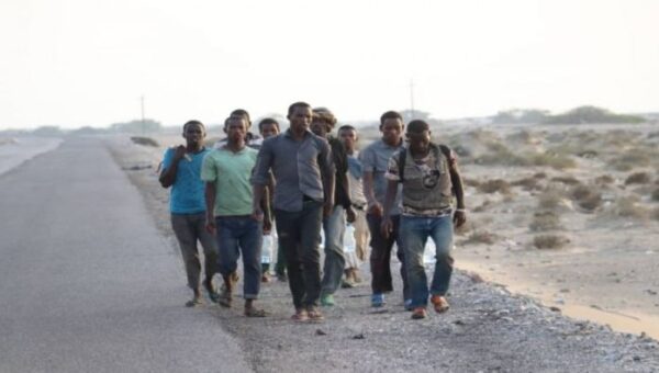 ضبط أكثر من 300 مهاجر إثيوبي غير شرعي في المهرة