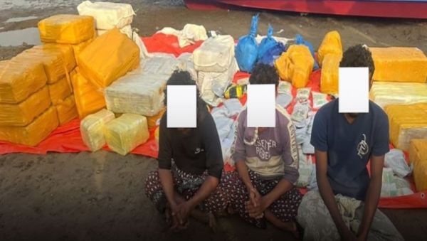 إحباط تهريب نصف طن من الحشيش المخدر في سواحل لحج