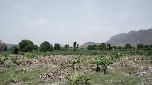 Seasonal Forecast and Flood Risk Implications in Yemen’s Agriculture Sector