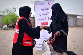 QRCS supports families in Yemen