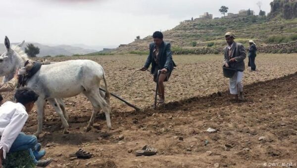 تحذيرات من تدهور الإنتاج الزراعي بسبب ندرة المياه وارتفاع درجات الحرارة