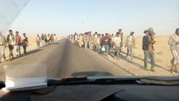 أعداد كبيرة من المهاجرين غير الشرعيين تصل شبوة