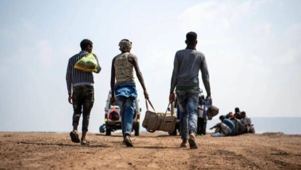 المركز الأمريكي يكشف عدد المهاجرين بطريقة غير شرعية لليمن