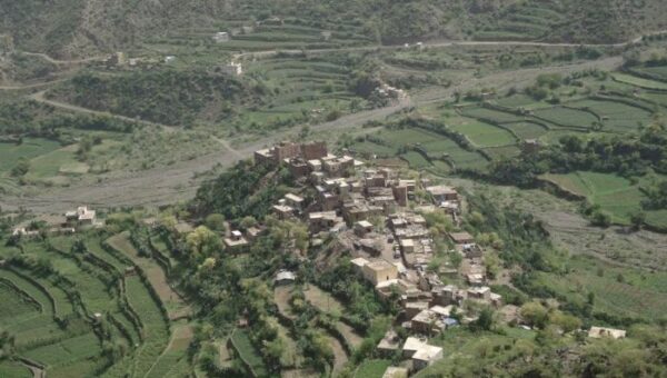 شاب يقتل والدته طعنًا شمال إب في جريمة مروعة تهز المنطقة