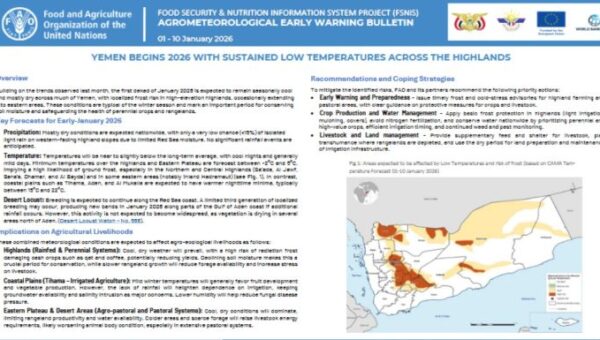 FAO: Critical winter period forecast in Yemen