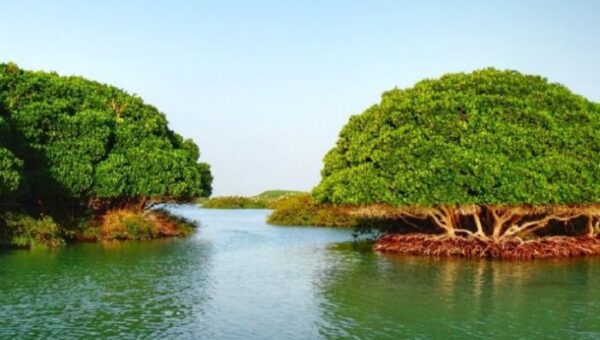 الحوثيون يفرضون حصارًا مشددًا على سكان جزيرة كمران في الحديدة