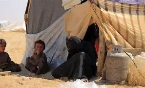 الهجر الدولية تسجل نزوح 678 شخصًا خلال أسبوع