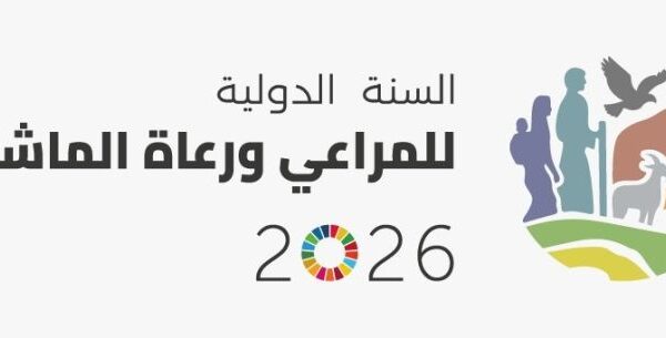 في السنة الدولية للمراعي: مراعي اليمن تحت وطأة النزاع والصدمات المناخية