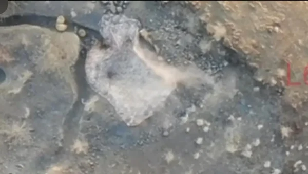 لليوم الرابع على التوالي.. ألوية وثكنات المليشيا في “البرح” تحت ضربات المقاومة الوطنية والقتلى والجرحى بالعشرات