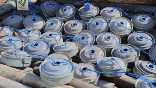 «مسام» يتلف 555 لغماً وقذيفة في مديرية حات بمحافظة المهرة