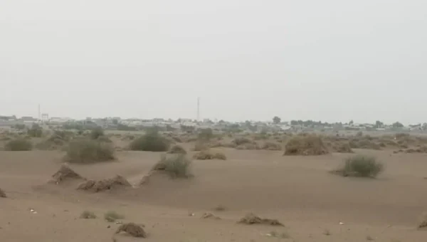 إصابة مسنة وطفل بقصف حوثي على منزل بالحديدة