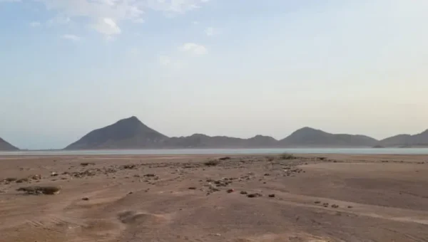 لحج: فرض حظر تجوال بحري في المضاربة ورأس العارة