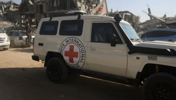 الصليب الأحمر ينفي ادعاءات بشأن انتشال جثامين في اليمن