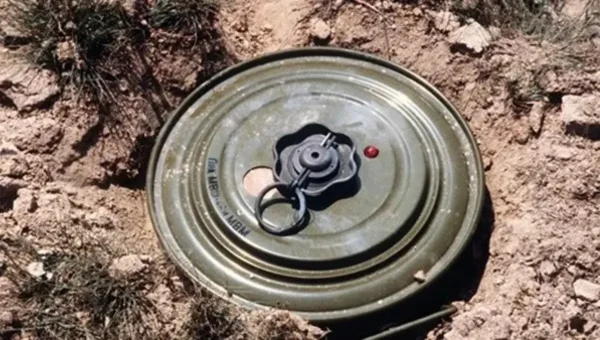 مقتل طفل بانفجار لغم حوثي في تعز أثناء رعي الماشية