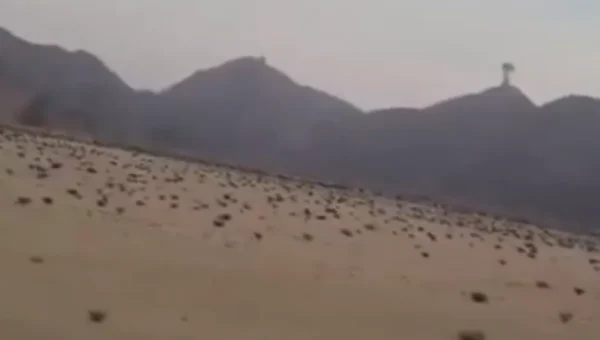 غارات جوية مكثفة تستهدف مواقع الحوثيين في جنوب مارب