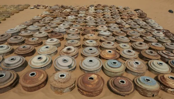 “مسام” تنزع أكثر من 3500 لغم وذخيرة في اليمن خلال 16 يوماً
