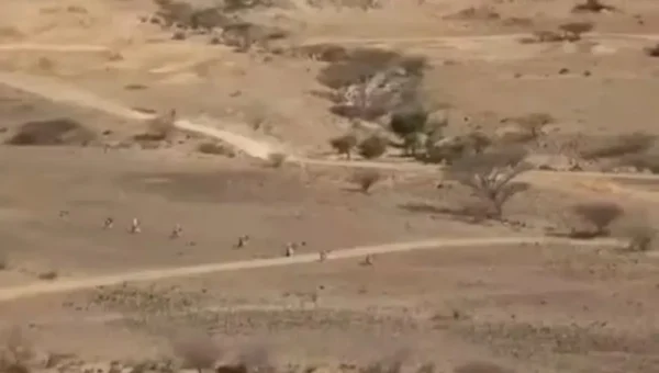 قوات “درع الوطن” تحبط هجوماً حوثياً واسعاً في جبهة كهبوب بلحج